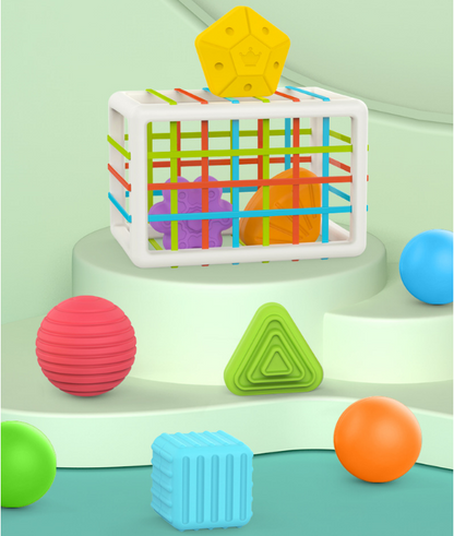 Caja de exploración con cuerpos geométricos