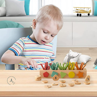 Math and counting toy