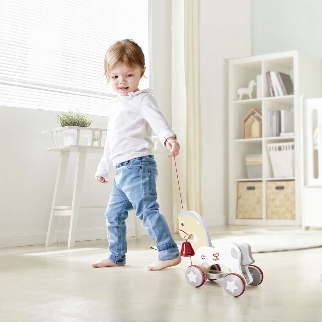 Pony pull along
