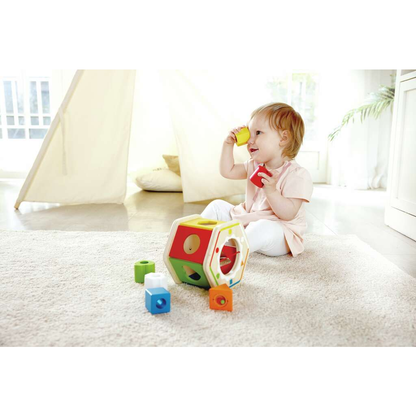 Wonder Shape Sorter (encastre)