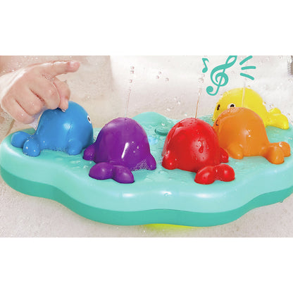Musical Whale Fountain