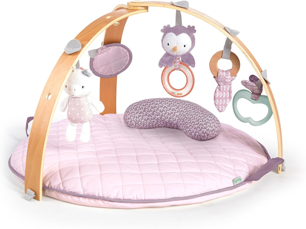 Ingenuity Cozy Spot / Activity Gym & Play Mat