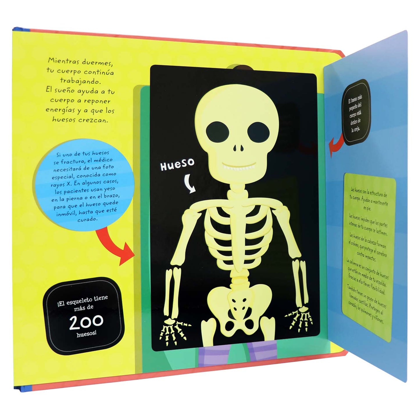 Mi Cuerpo es Increíble un libro interactivo