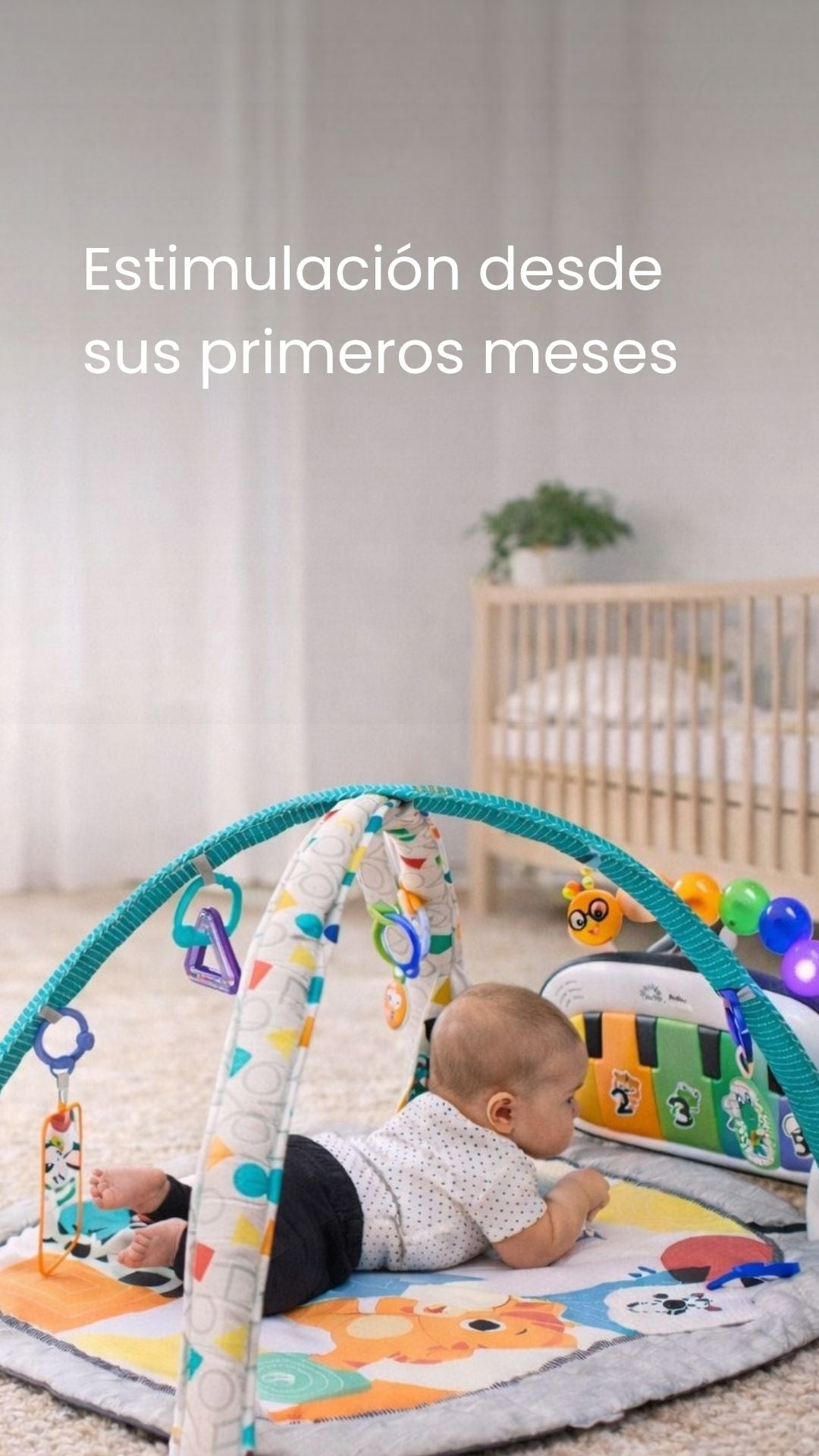 Image Banner