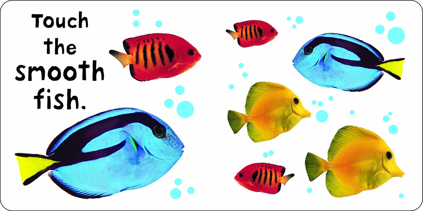 See Touch Feel: Animals