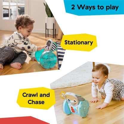 Juguete Gateador Chase & Tap Earl – Baby Einstein