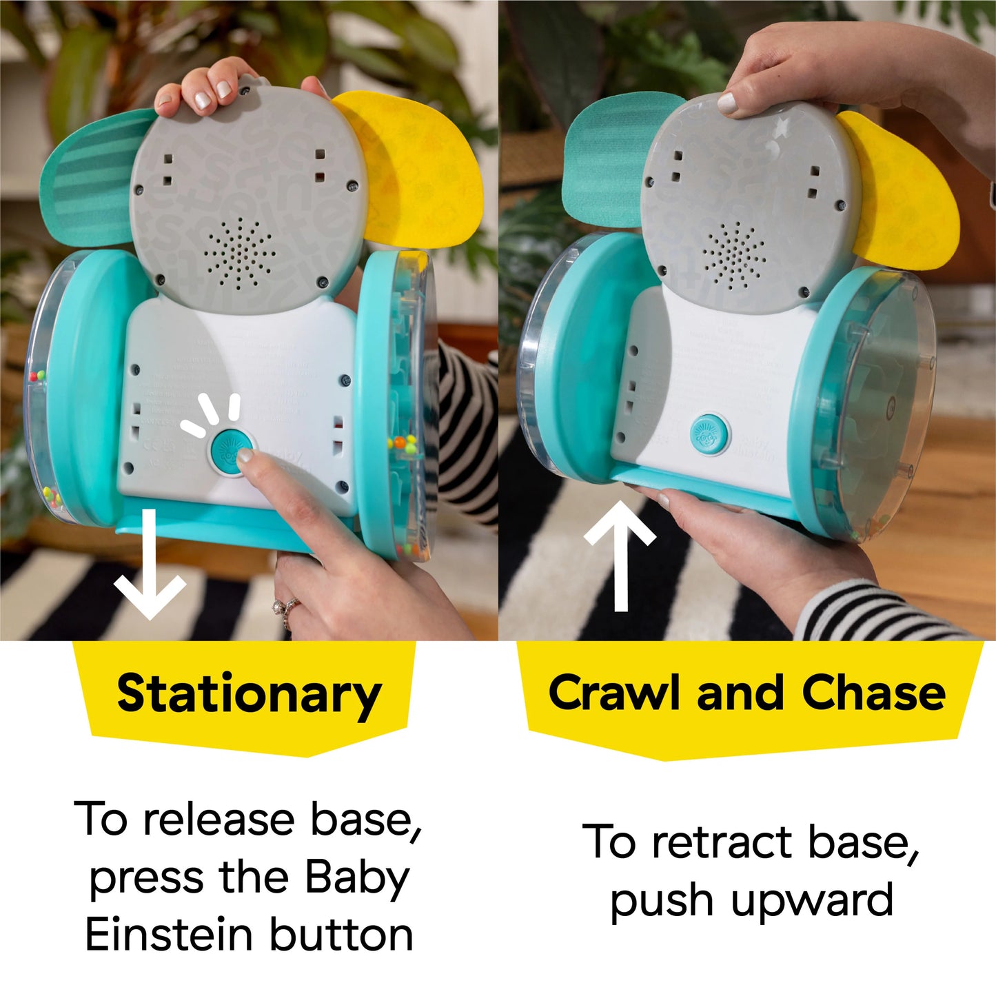 Juguete Gateador Chase & Tap Earl – Baby Einstein
