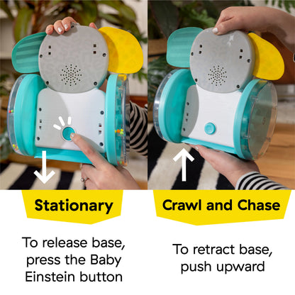 Juguete Gateador Chase & Tap Earl – Baby Einstein