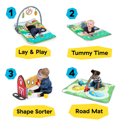 Gimnasio de Actividades Granja / Baby Einstein