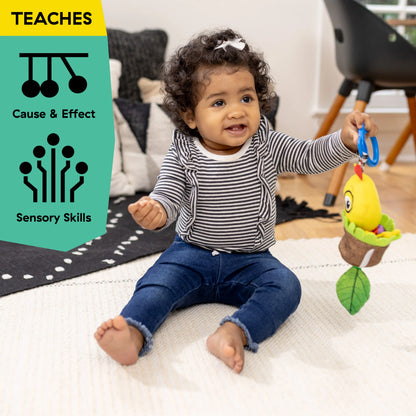 Puller Pull & Shake Toy