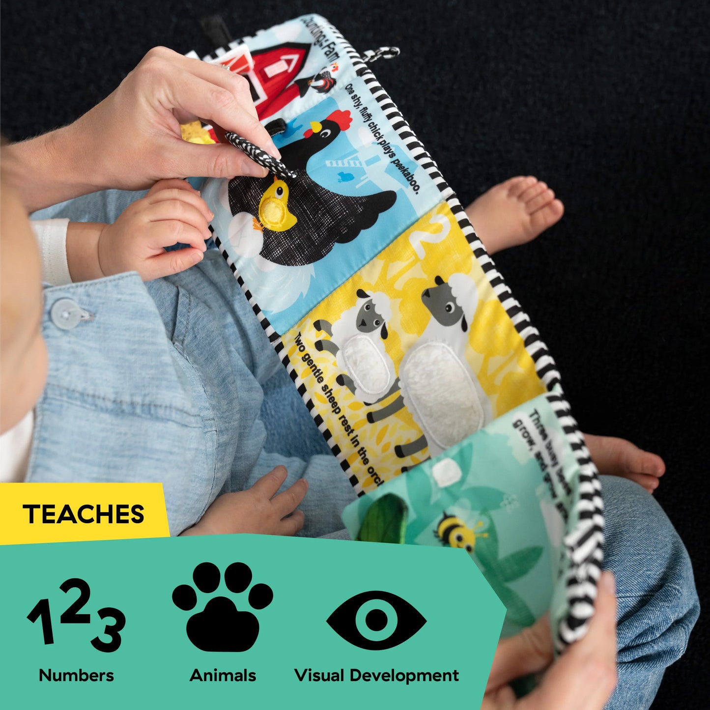 Libro Sensorial Counting at the Farm – Baby Einstein