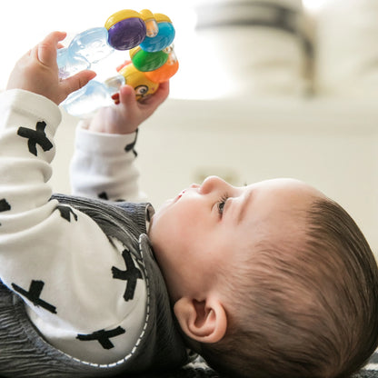 Mordedor Baby Einstein