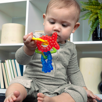 Set de Mordedores Ocean Explorers – Baby Einstein
