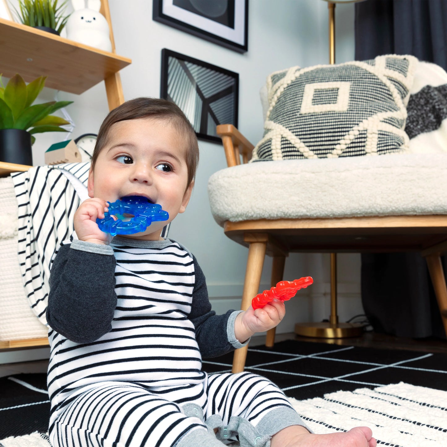 Set de Mordedores Ocean Explorers – Baby Einstein