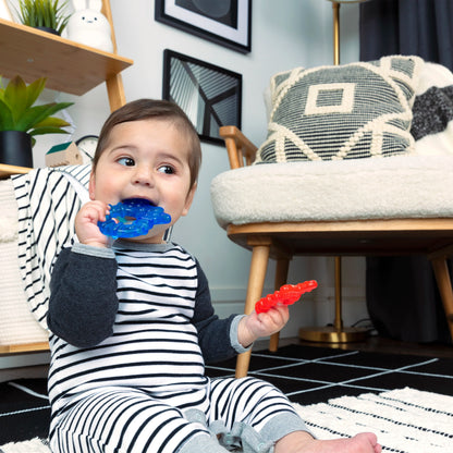 Set de Mordedores Ocean Explorers – Baby Einstein